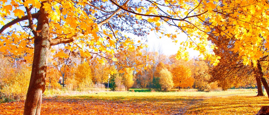 10 Most Beautiful Places In Istanbul During The Fall Season!