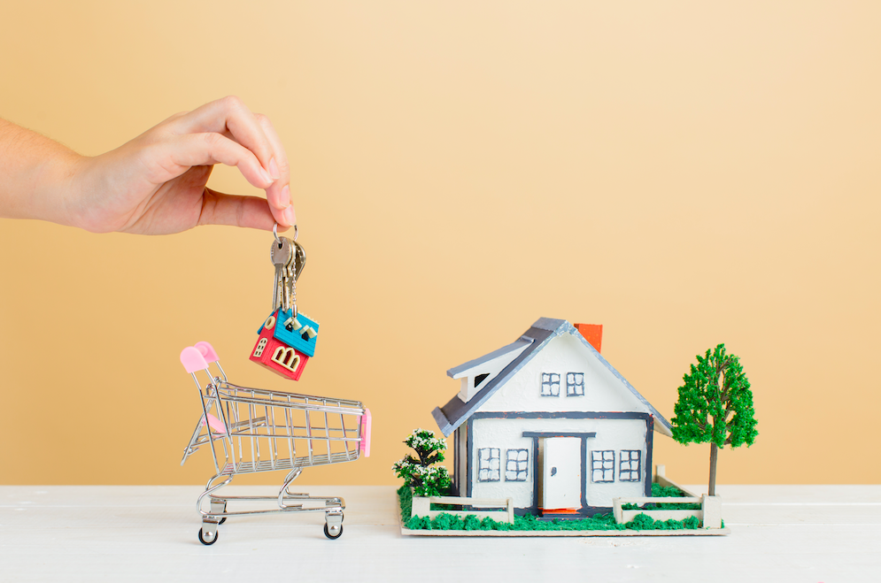 Purchase a Home in Istanbul for The Best Investment
