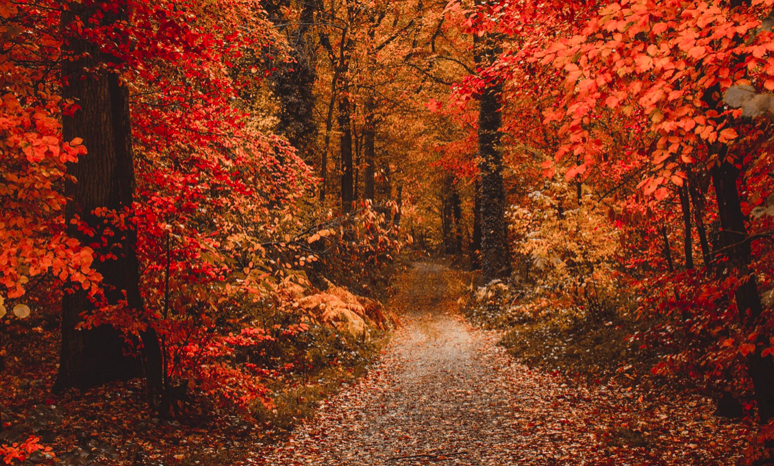 What to do in Istanbul in Autumn