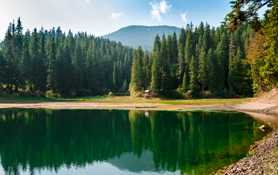 Explore Sapanca Near Istanbul!