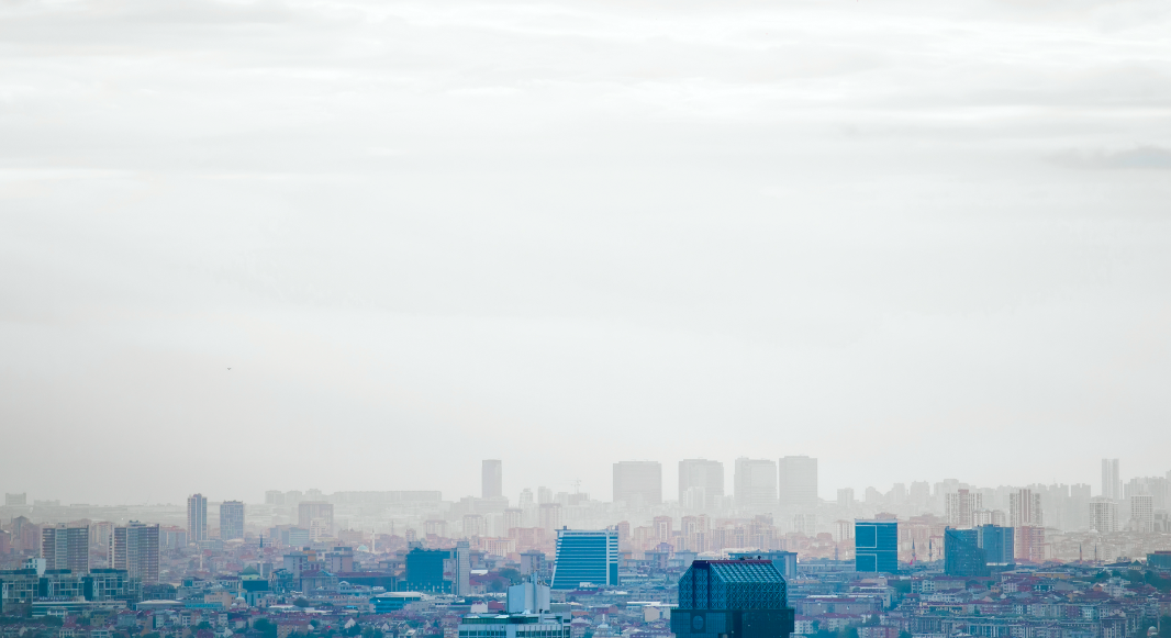 Discover Besiktas in Istanbul
