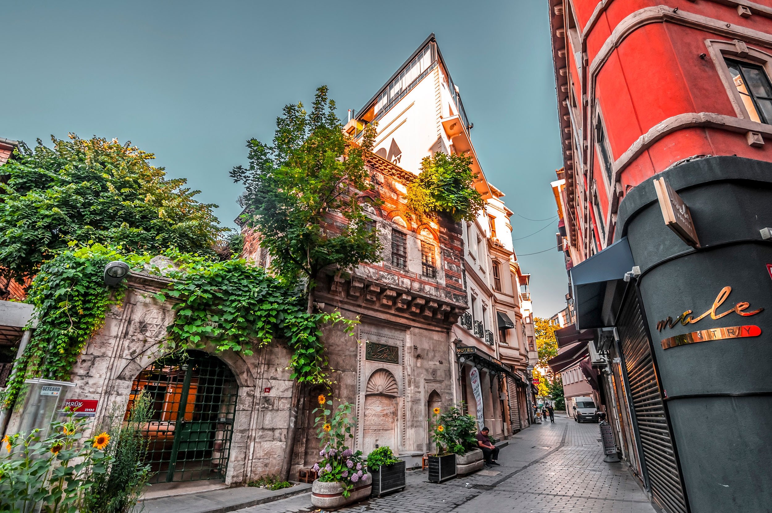 İam İstanbul Blog
