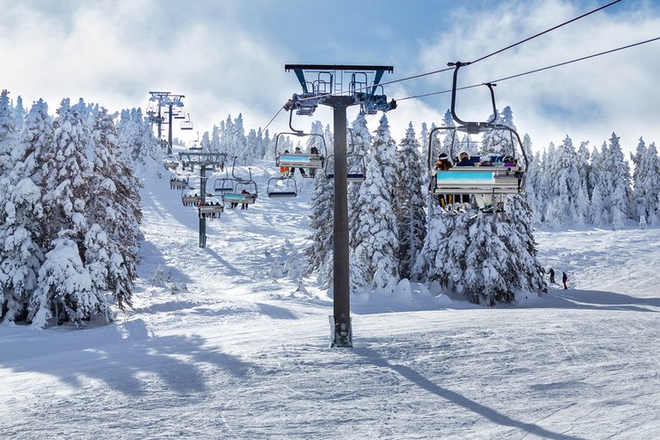 Best Activities to Do in Winter in Istanbul